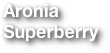 Aronia Superberry